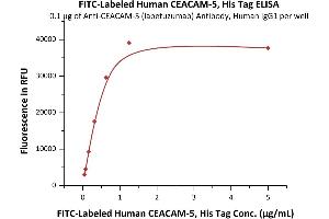 Immobilized AM-5 (labetuzumab) Antibody, Human IgG1 at 1 μg/mL (100 μL/well) can bind Fed Human CEACAM-5, His Tag (ABIN6973027) with a linear range of 0. (CEACAM5 Protein (AA 35-685) (His tag,FITC))