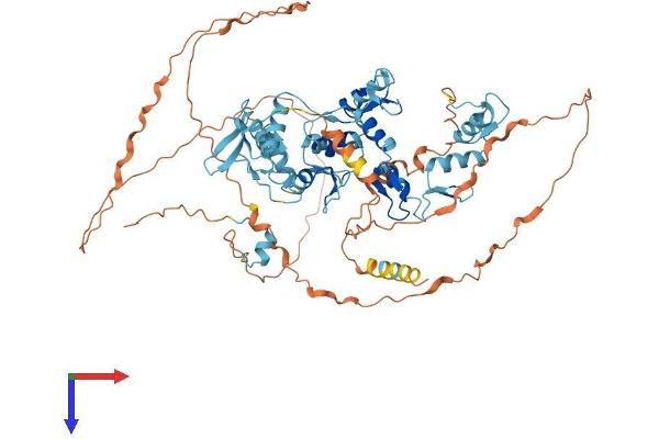 ZNF710 Protein (AA 1-664) (His tag)