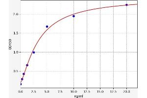 Typical standard curve (ACTN3 ELISA Kit)