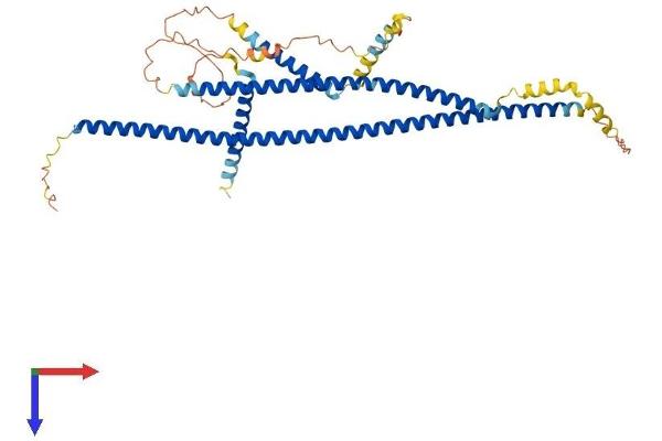 CDR2 Protein (AA 1-454) (His tag)