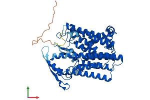 Protein Structure (PS) image for 7-Dehydrocholesterol Reductase (DHCR7) (AA 1-471) protein (His tag) (ABIN7562607)
