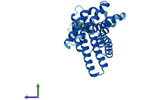 AlphaFold protein structure predicition of Mouse Recombinant Aqp11 Protein, UniprotID Q8BHH1 (AQP11 Protein (AA 1-271) (His tag))