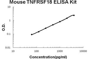 Mouse TNFRSF18/GITR Accusignal ELISA Kit Mouse TNFRSF18/GITR AccuSignal ELISA Kit standard curve.
