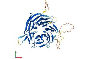 Protein Structure (PS) image for Nucleoporin 43kDa (NUP43) (AA 1-380) protein (His tag) (ABIN7550276)