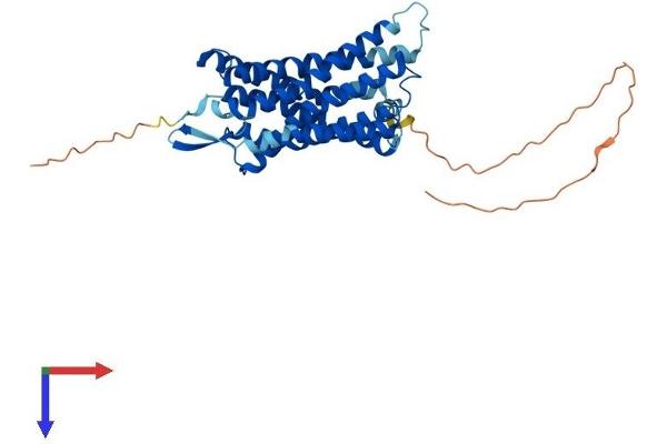 LPAR5 Protein (AA 1-372) (His tag)