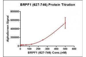 Activity Assay (AcA) image for Bromodomain and PHD Finger Containing, 1 (BRPF1) (AA 627-746) protein (His tag,DYKDDDDK Tag) (ABIN2669640)