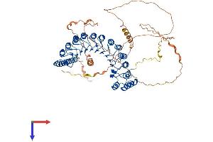 PPP1R37 Protein (AA 1-712) (His tag)