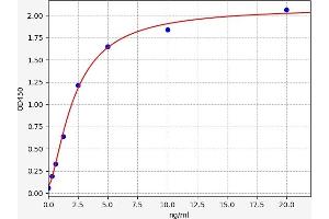 BCAN ELISA Kit