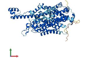 Protein Structure (PS) image for Solute Carrier Family 6 (Neutral Amino Acid Transporter), Member 19 (SLC6A19) (AA 1-634) protein (His tag) (ABIN7555431)