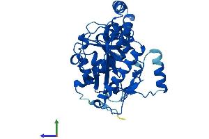 Protein Structure (PS) image for Monoacylglycerol O-Acyltransferase 1 (MOGAT1) (AA 1-335) protein (His tag) (ABIN7560161)