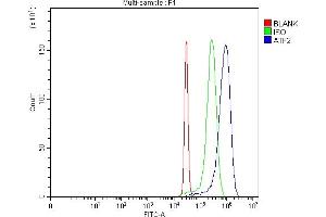 Flow Cytometry analysis of Hela cells using anti-ATF2 antibody (ABIN7599413).