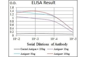 ELISA image for anti-NK2 Homeobox 2 (Nkx2-2) antibody (ABIN1108465) (Nkx2-2 Antikörper)