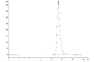 The purity of Mouse FcRn is greater than 95 % as determined by SEC-HPLC. (FcRn Protein (AA 22-297) (His tag))