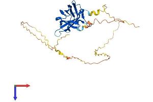 RIMS3 Protein (AA 1-308) (His tag)