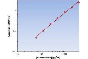 This is an example of what a typical standard curve will look like. (DKK1 ELISA Kit)