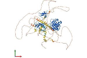 Protein Structure (PS) image for Oxidation Resistance 1 (OXR1) (AA 1-874) protein (His tag) (ABIN7550480)