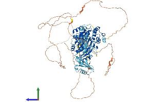 Protein Structure (PS) image for DEAD (Asp-Glu-Ala-Asp) Box Polypeptide 21 (DDX21) (AA 1-851) protein (His tag) (ABIN7565089)