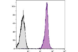 BALB/c mouse splenocytes were stained with Mouse Anti-Mouse CD45. (CD45.2 Antikörper  (APC-Cy5.5))