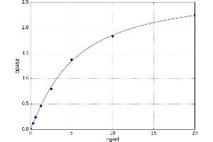 Microtubule-Associated Protein 2 (MAP2) ELISA Kit