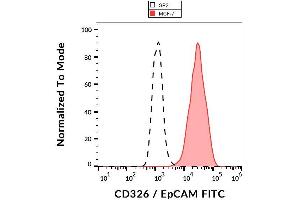 Surface staining of human MCF-7 cell line with anti-human CD326 / EpCAM (VU-1D9) FITC.