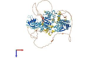 HLTF Protein (AA 1-1003) (His tag)