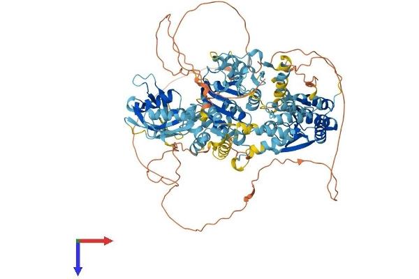 HLTF Protein (AA 1-1003) (His tag)