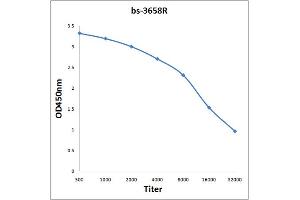 Antigen: 0. (PPP1R8 Antikörper  (AA 21-120))