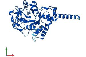 AlphaFold protein structure predicition of Human Recombinant GDPD1 Protein, UniprotID Q8N9F7 (GDPD1 Protein (AA 1-314) (His tag))