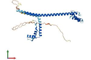 Protein Structure (PS) image for High Mobility Group 20B (HMG20B) (AA 1-317) protein (His tag) (ABIN7556366)