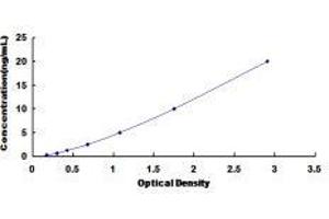 Neuropeptide Y Receptor Y5 (NPY5R) ELISA Kit