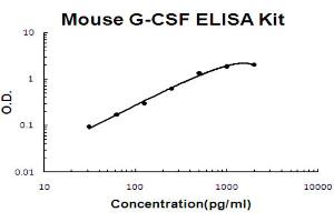 Mouse G-CSF Accusignal ELISA Kit Mouse G-CSF AccuSignal ELISA Kit standard curve.