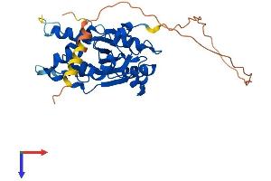 TREX1 Protein (AA 1-314) (His tag)