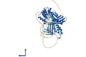 Protein Structure (PS) image for Coactivator-Associated Arginine Methyltransferase 1 (CARM1) (AA 1-608) protein (His tag) (ABIN7565240)
