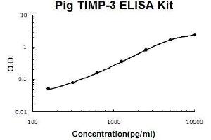 Pig TIMP-3 PicoKine ELISA Kit standard curve