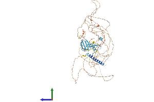 Protein Structure (PS) image for Chromosome 1 Open Reading Frame 103 (C1orf103) (AA 1-769) protein (His tag) (ABIN7549080)