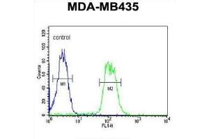 Flow Cytometry (FACS) image for anti-ATH1, Acid Trehalase-Like 1 (ATHL1) antibody (ABIN3002191) (ATHL1 Antikörper)