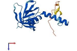 GNRPX Protein (AA 1-164) (His tag)