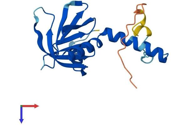 GNRPX Protein (AA 1-164) (His tag)