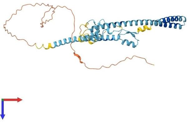 LUC7L Protein (AA 1-371) (His tag)