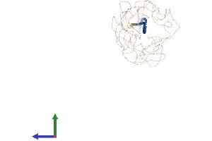 AlphaFold protein structure predicition of Human Recombinant MTUS2 Protein, UniprotID Q5JR59 (CAZIP Protein (AA 1-1369) (His tag))
