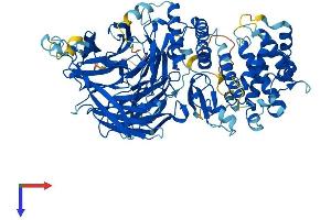 MED16 Protein (AA 1-828) (His tag)