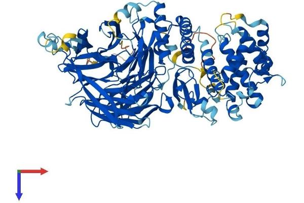 MED16 Protein (AA 1-828) (His tag)