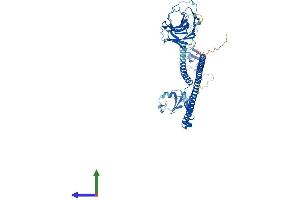 Protein Structure (PS) image for Tripartite Motif Containing 27 (TRIM27) (AA 1-513) protein (His tag) (ABIN7563948)