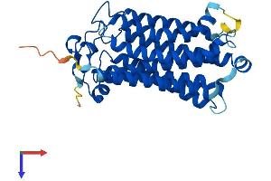 PAQR5 Protein (AA 1-330) (His tag)