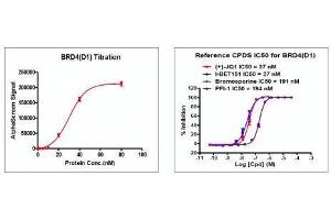 Recombinant BRD4 (44-168) activity using AlphaScreen.