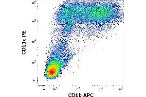 Flow cytometry multicolor surface staining pattern of human stimulated (GM-CSF + IL-4) peripheral blood mononuclear cells using anti-human CD1b (SN13) APC antibody (10 μL reagent per milion cells in 100 μL of cell suspension) and anti-human CD11c (BU15) PE antibody (20 μL reagent per milion cells in 100 μL of cell suspension). (CD1b Antikörper  (APC))