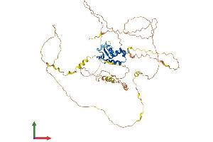 Protein Structure (PS) image for Forkhead Box C1 (FOXC1) (AA 1-553) protein (His tag) (ABIN7547709)