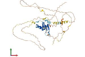 Protein Structure (PS) image for Forkhead Box D3 (FOXD3) (AA 1-465) protein (His tag) (ABIN7557654)