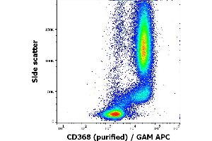 Flow cytometry surface staining pattern of human peripheral whole blood stained using anti-human CD368 (9B9) purified antibody (concentration in sample 5 μg/mL, GAM APC). (CLEC4D Antikörper)