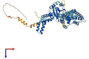 FAM200A Protein (AA 1-573) (His tag)